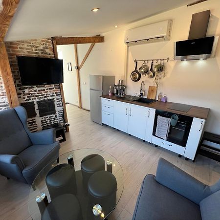 Bellevue Appartement Sous Les Toits Hypercentre Climatise Dole Eksteriør billede