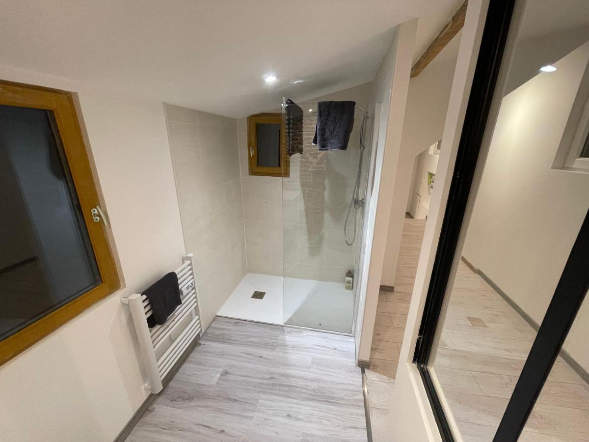 Bellevue Appartement Sous Les Toits Hypercentre Climatise Dole Eksteriør billede