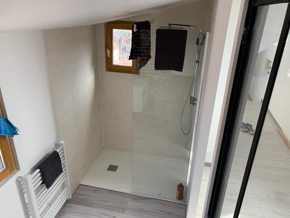 Bellevue Appartement Sous Les Toits Hypercentre Climatise Dole Eksteriør billede