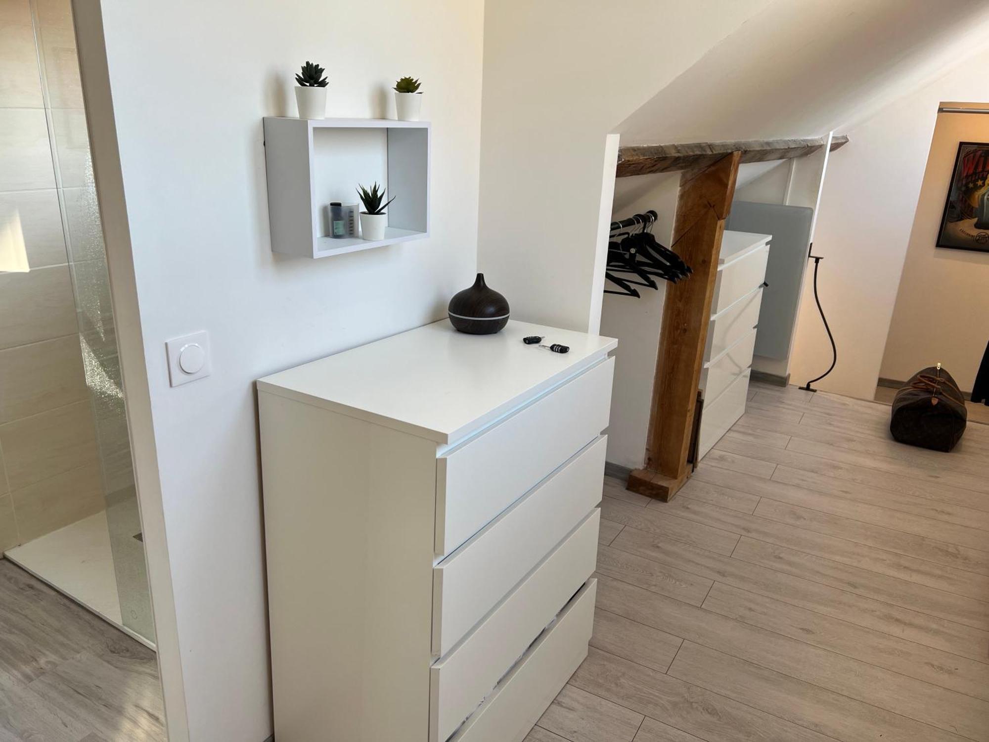 Bellevue Appartement Sous Les Toits Hypercentre Climatise Dole Eksteriør billede